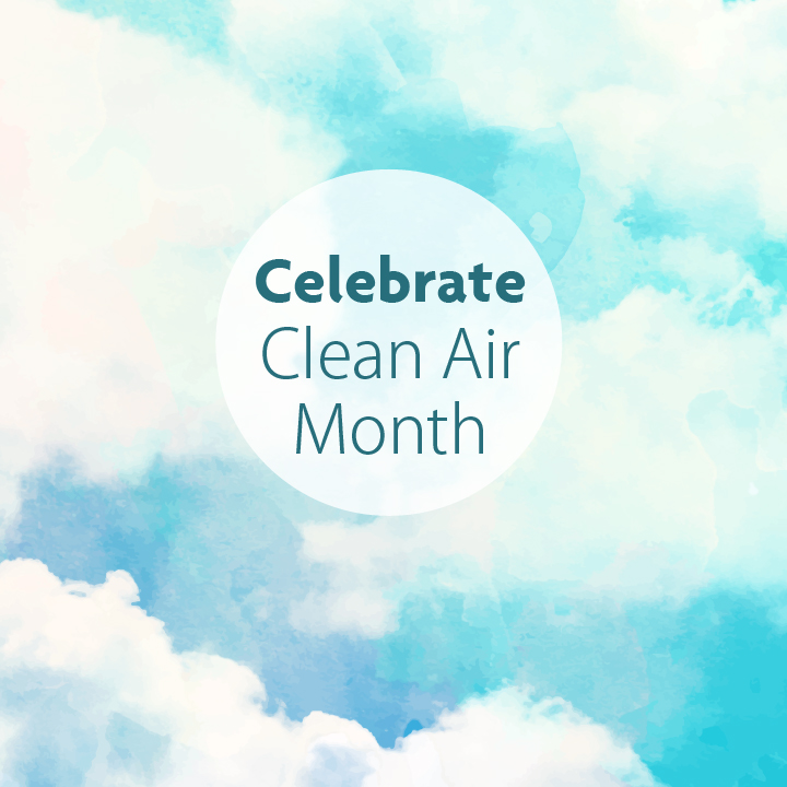 Image result for clean air month